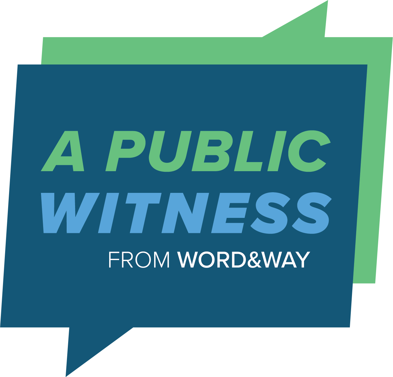 a.public.witness.rev
